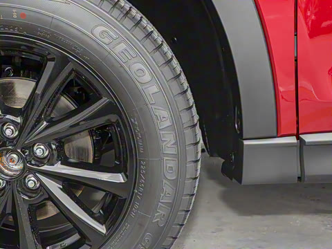 2025�� 2.0L �Զ���������Pro