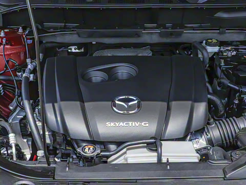 2025�� 2.0L �Զ���������Pro