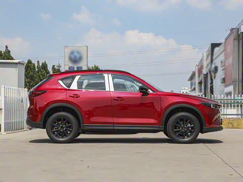 2025�� 2.0L �Զ���������Pro