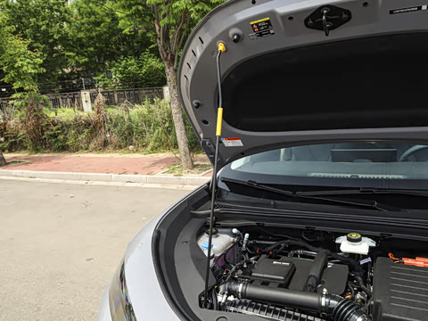 2026�� DM-i 305�Ǻ���