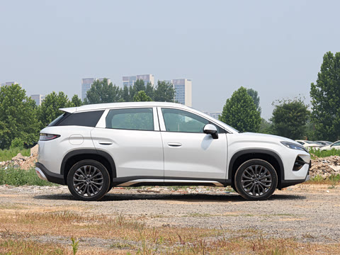 2026�� DM-i 205KM ������