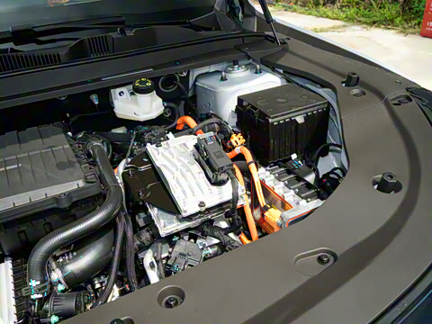 2026�� 121km ���ʰ� 5��