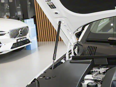 2026�� ������������Core