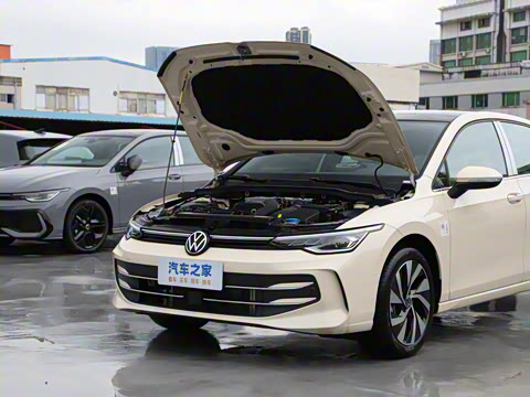 2025�� �Ŀ� 300TSI Pro