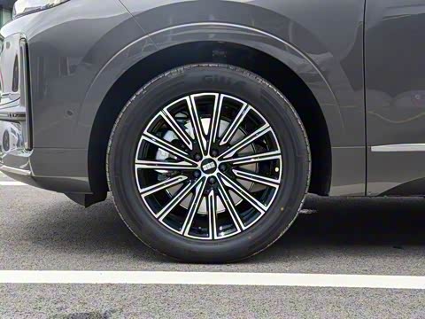 2025�� 230km ����̽����