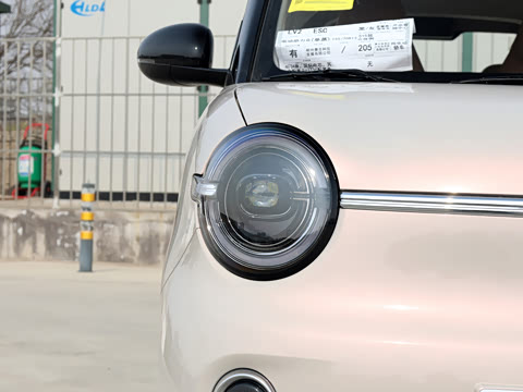 2026�� ����� 205km ������