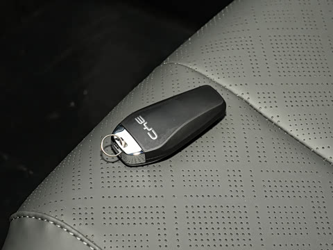 2026�� DM-i 210KM��ȡ��