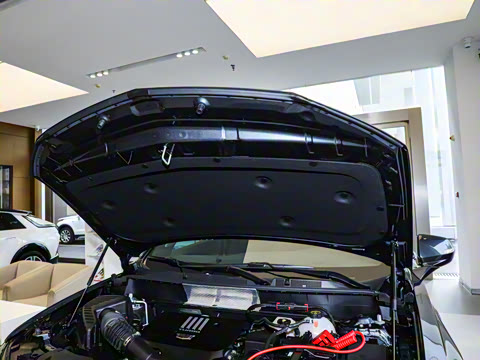 2025�� 2.0T ���������������������