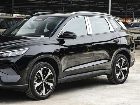 2026�� DM-i 220KM��Խ��