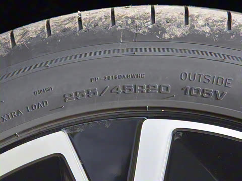 2026�� ������������Plus