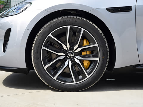 2026�� Max