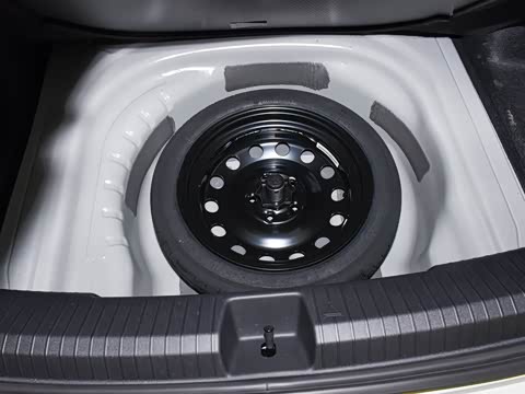 2026�� Pro 300TSI �������