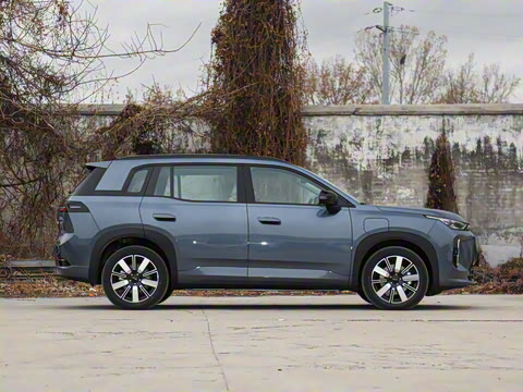 2026�� 650 ��׼��