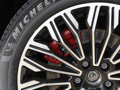 2025�� FREE+ ����Ǭ����