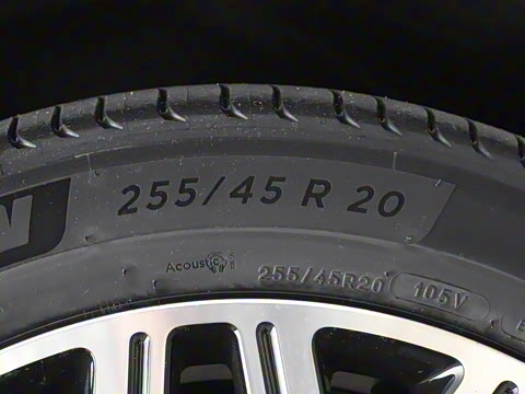 2025�� FREE+ ����Ǭ����