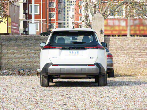 2026�� ˫�� 2.5L ����������