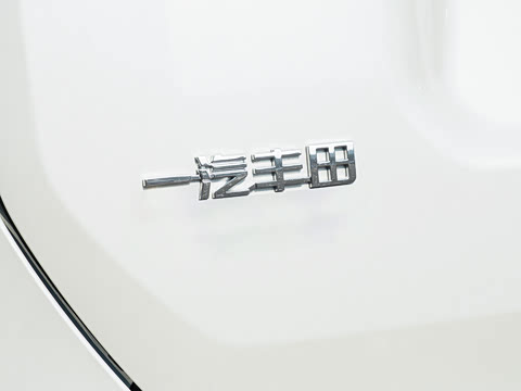 2026�� ˫�� 2.5L ����������