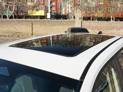 2026�� ˫�� 2.5L ����������