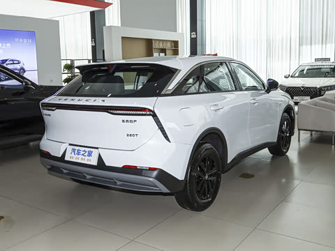 2026�� 260T ���ǰ� Pro