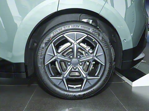 2025�� 530km ����Pro