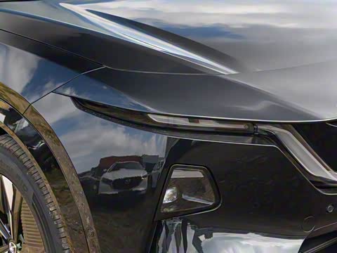 2025�� ����200 Pro