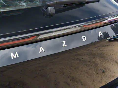 2025�� ����200 Pro