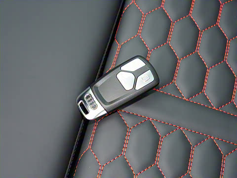 2025�� RS 5 2.9T Sportback ȼ���