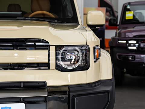 2026�� 200KM������ӥ500