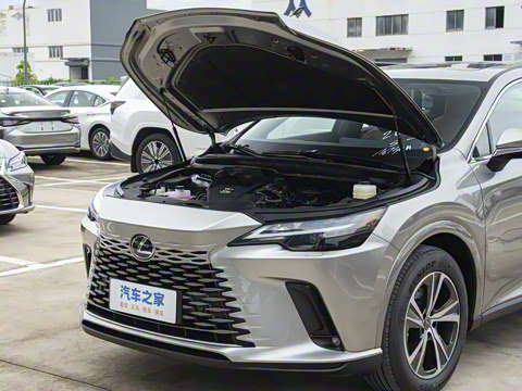 2026�� 300 ����������