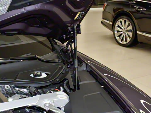 2024�� 4.0T GT V8 �ŶȰ�