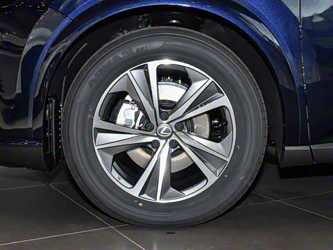 2026�� 300 ����������