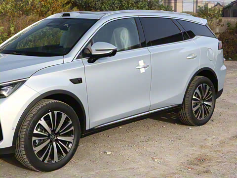 2025�� �Ǽݰ� DM-i 175KM �����״��콢��