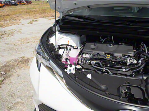 2026�� 2.5L ˫���������ʰ�