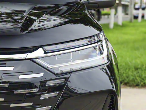 2025�� 290T ��������+