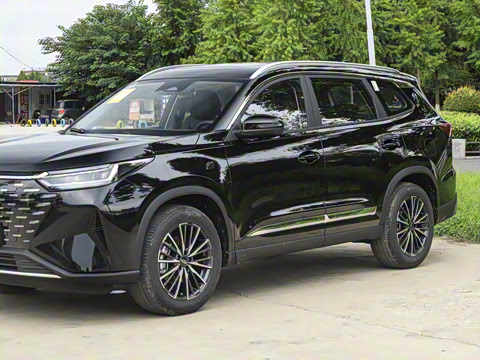 2025�� 290T ��������+