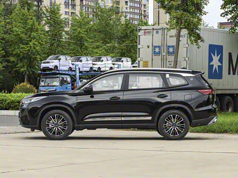 2025�� 290T ��������+