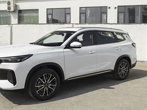 2026�� 290TGDI DCT������ 5��