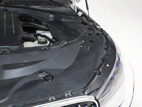 2024�� 3.0T V6 �������Ű� ����