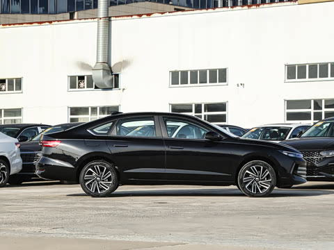 2026�� Pro 300TSI ���ݰ�