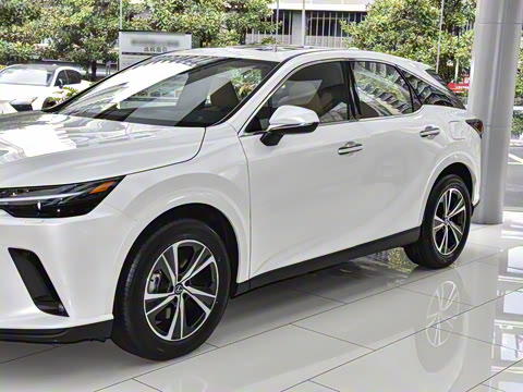 2026�� 300 ����������