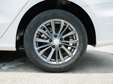 2026�� 180DVVT ȫ�����Ȱ�