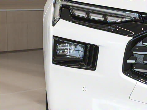 2025�� 2.0T EcoBoost ������