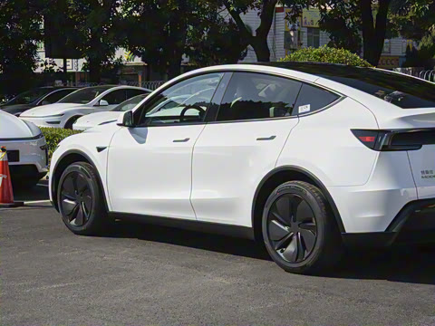 2026�� ����������������