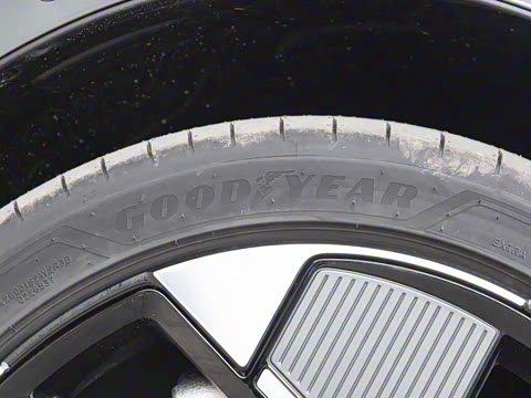 2026�� ������������Plus