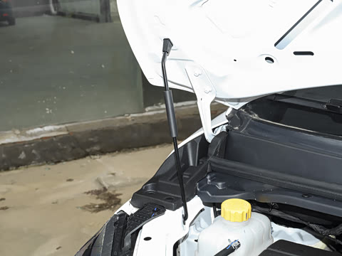 2026�� 1.6L �ֶ����������� 5��