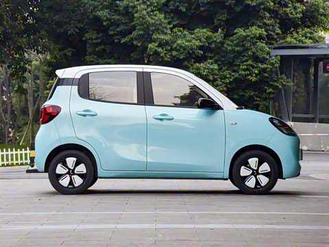 2025�� ���Ű� ����+��