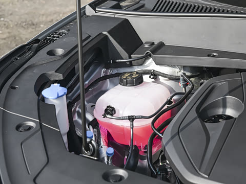 2026�� 135km �캽��