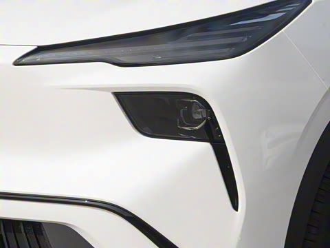 2025�� 565km ������