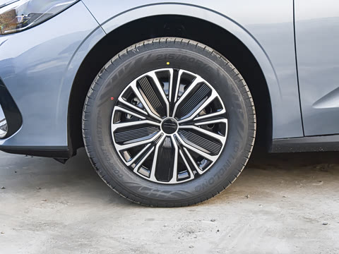 2026�� 125km���ڰ�