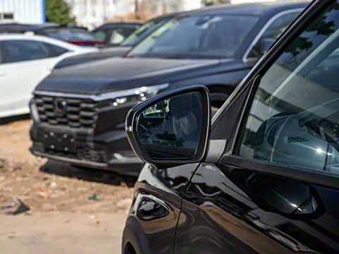 2025�� ������